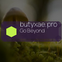 butyxae.pro